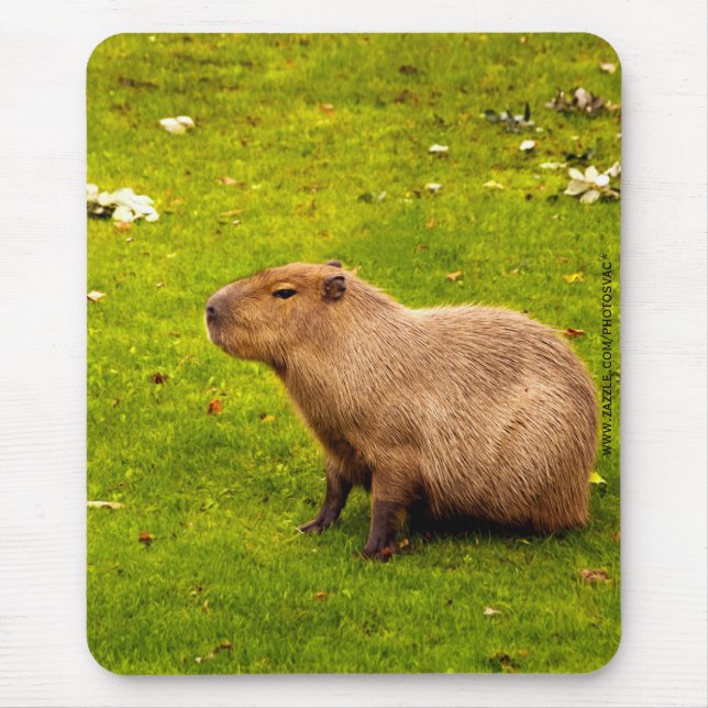 Mousepad Capybara (Frente)