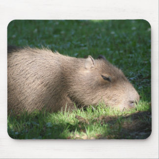 Mousepad Capybara