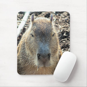 MOUSEPAD CAPYBARA