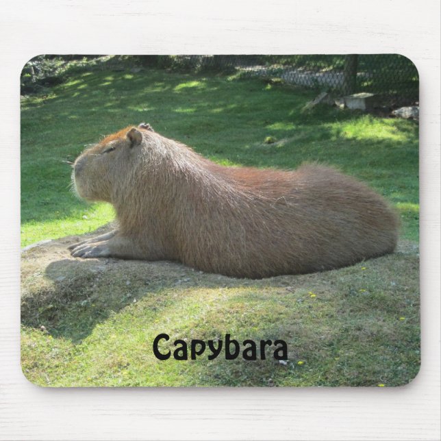 Mousepad Capybara - Giant Rodent (Frente)