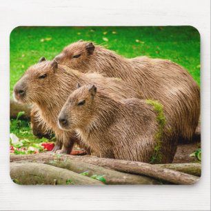 Mousepad Capybara Trio