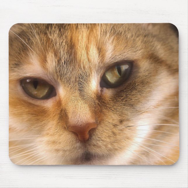 Mousepad cara bonito 3 do gato (Frente)