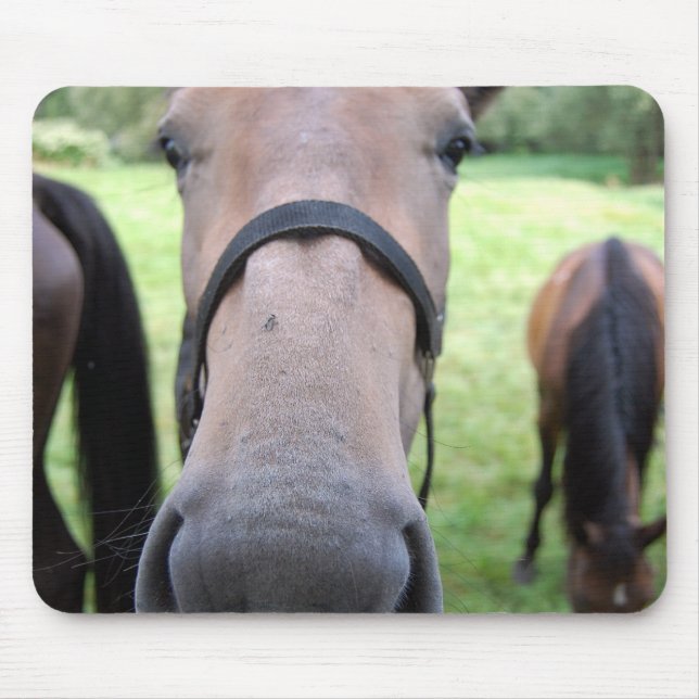 Mousepad Cara de cavalo (Frente)