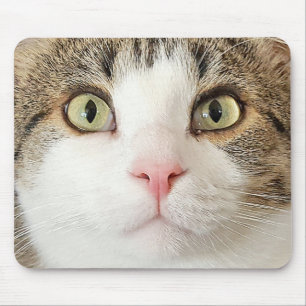 Mousepad cara de gato