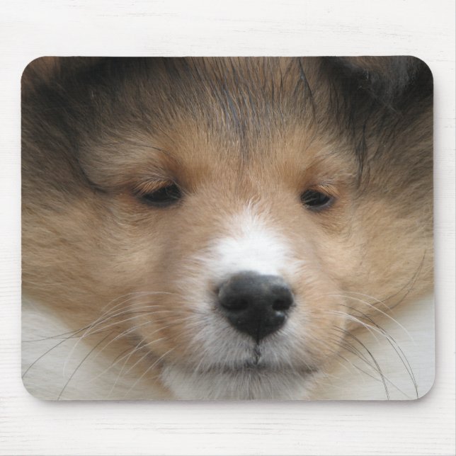 Mousepad Cara do filhote de cachorro de Sheltie (Frente)