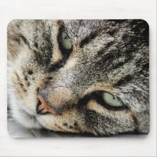 Mousepad Cara do gato