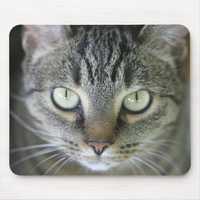 Mousepad cara do gato de tigre (Frente)