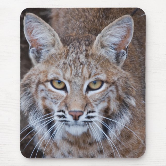 Mousepad Cara do lince (Frente)