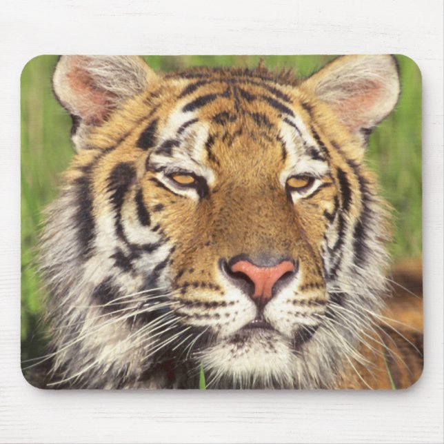 Mousepad Cara do tigre (Frente)