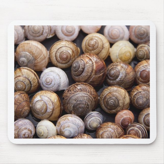 Mousepad Caracóis (Frente)