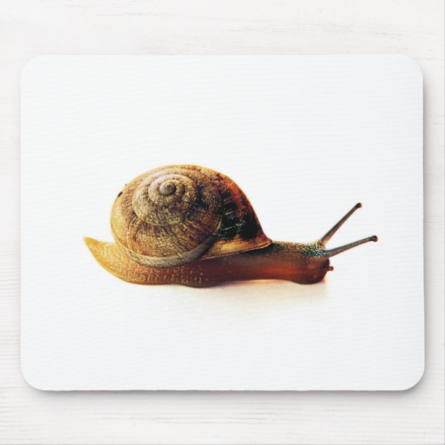 Mousepad Caracol (Frente)