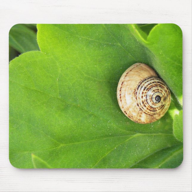 Mousepad Caracol (Frente)