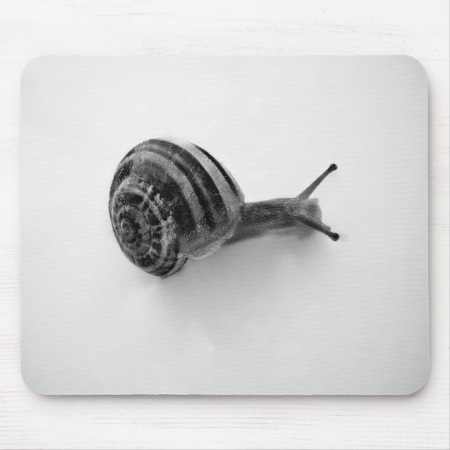 Mousepad Caracol (Frente)