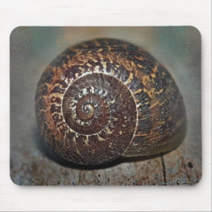 Mousepad Caracol Shell