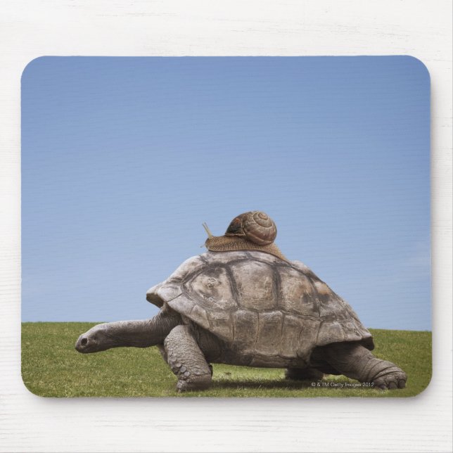 Mousepad Caracol sobre uma tartaruga (Frente)