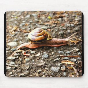 Mousepad Caracol Vermelho no chão