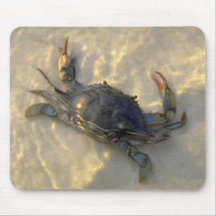 Mousepad Caranguejo azul