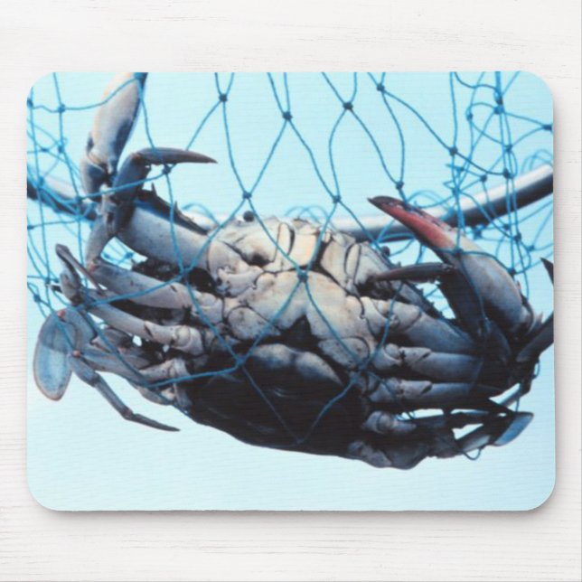 Mousepad Caranguejo azul de travamento (Frente)