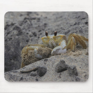 Mousepad Caranguejo, Crustáceos, Areia
