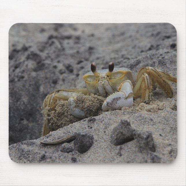 Mousepad Caranguejo, Crustáceos, Areia (Frente)