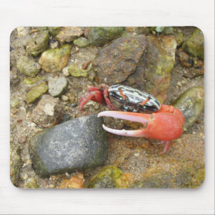 Mousepad Caranguejo de Beach Fiddler