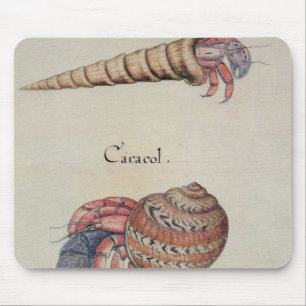 Mousepad Caranguejo de eremita