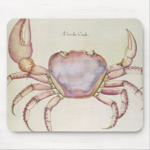 Mousepad Caranguejo de terra