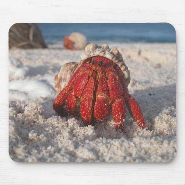Mousepad Caranguejo-Mouro-Bonito em White Sandy Beach Close (Frente)