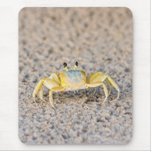 Mousepad caranguejo, praia, natureza