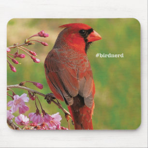 Mousepad Cardeal do norte 2