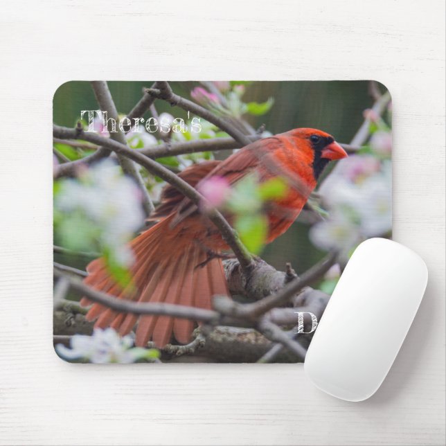 Mousepad Cardeal masculino em Springtime (Com mouse)