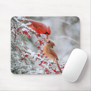 Mousepad Cardinais Vermelhos e Frutas no Inverno