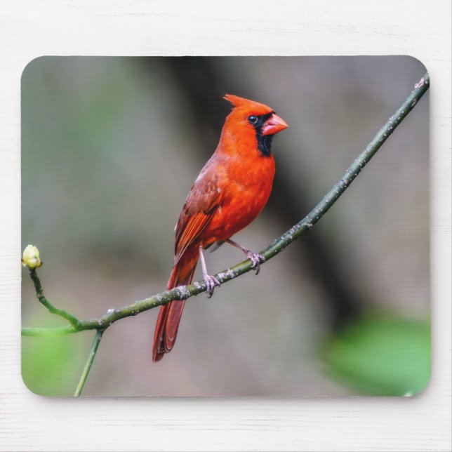 Mousepad cardinal (Frente)