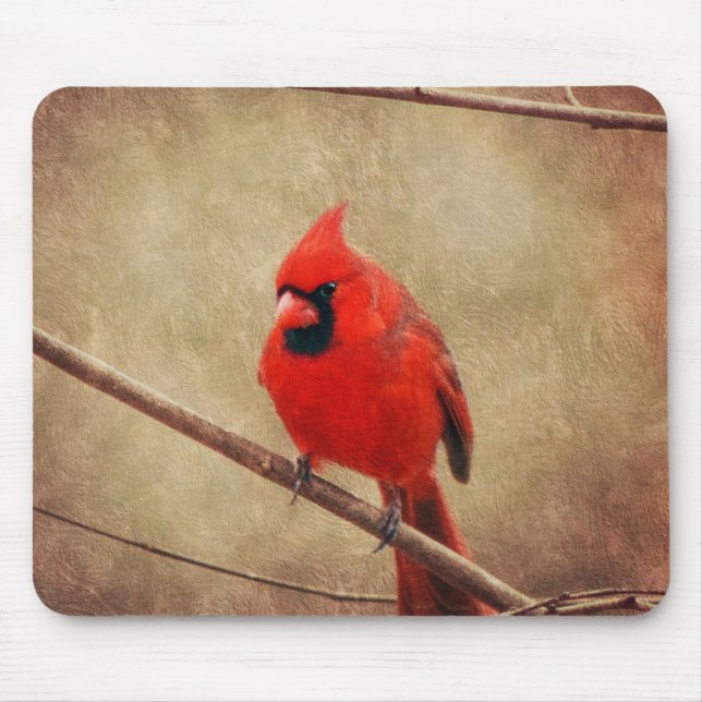Mousepad Cardinal (Frente)