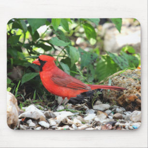 Mousepad Cardinal