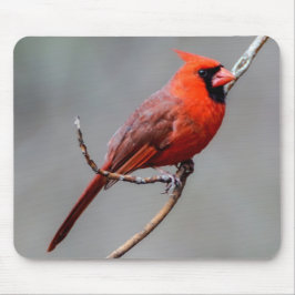 Mousepad cardinal