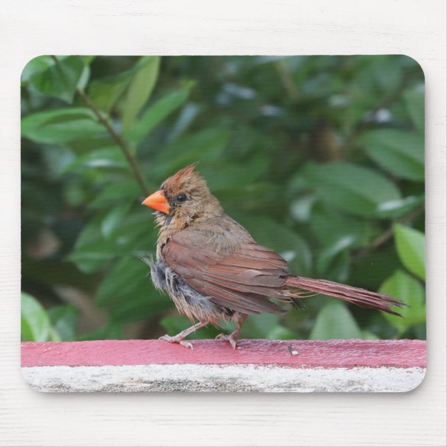 Mousepad Cardinal (Frente)