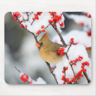 Mousepad Cardinal-do-norte fêmea em Winterberry Comum
