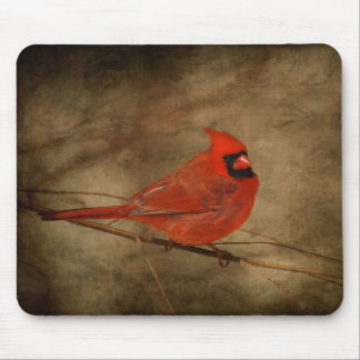 Mousepad cardinal masculino