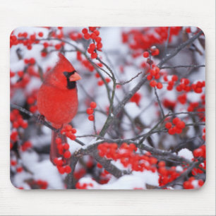 Mousepad Cardinal-vermelho macho, Inverno, IL
