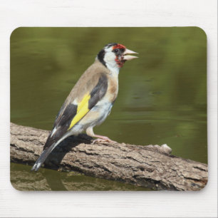Mousepad Carduelis carduelis