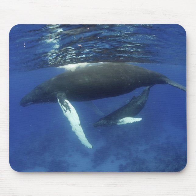 Mousepad Caribe, arquipélago das maiores Antilhas, (Frente)