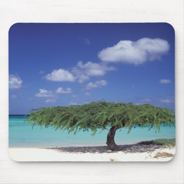 Mousepad Caribe, Aruba. Praia da Águia (Frente)