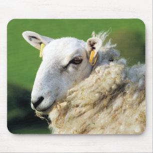 MOUSEPAD CARNEIROS BONITOS