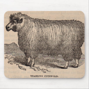 Mousepad Carneiros de um ano de Cotswold do impressão do