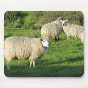 Mousepad Carneiros irlandeses