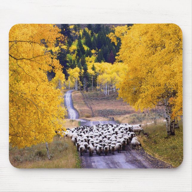 Mousepad Carneiros na estrada secundária (Frente)
