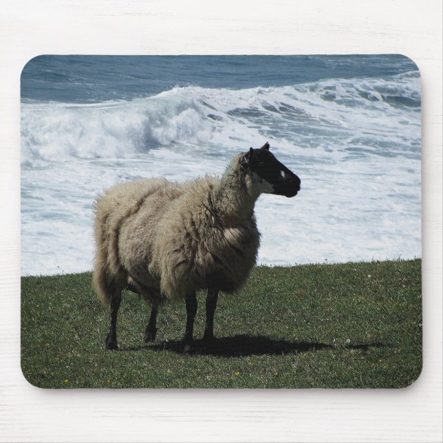 Mousepad Carneiros no litoral sul selvagem de Devon (Frente)