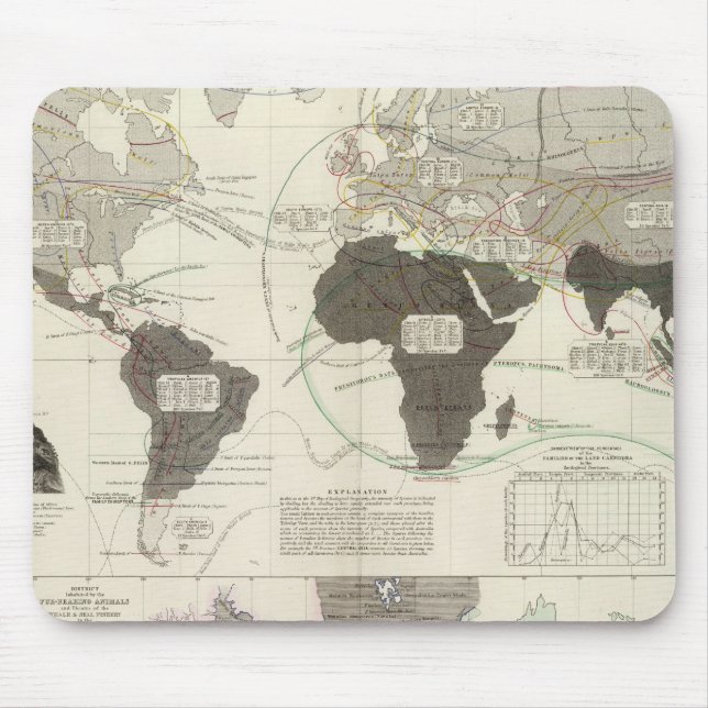 Mousepad Carnivora (Frente)