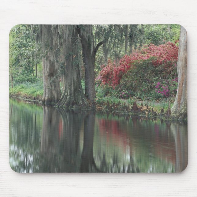 Mousepad Carolina do Sul, Charleston (Frente)